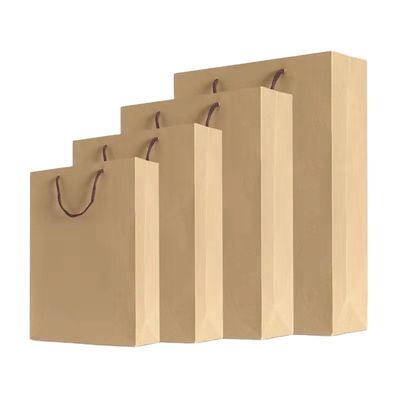 коричневое ремесло Промо-бумажные пакеты Zipper Top для обуви одежда