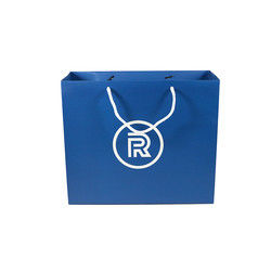 Clothing Gift Jewelry Custom Printed Paper Bags 150gsm 210gsm 250gsm Thickness